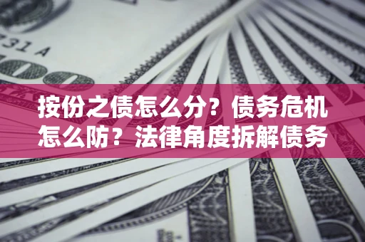 武汉按份之债怎么分？债务危机怎么防？法律角度拆解债务分配与风险自保指南