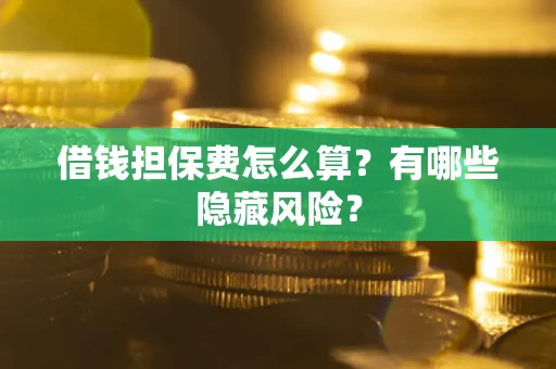 武汉借钱担保费怎么算？有哪些隐藏风险？