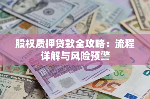 武汉股权质押贷款全攻略：流程详解与风险预警