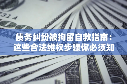 武汉债务纠纷被拘留自救指南：这些合法维权步骤你必须知道！