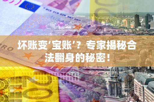 武汉坏账变‘宝账’？专家揭秘合法翻身的秘密！