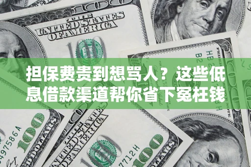 武汉担保费贵到想骂人？这些低息借款渠道帮你省下冤枉钱