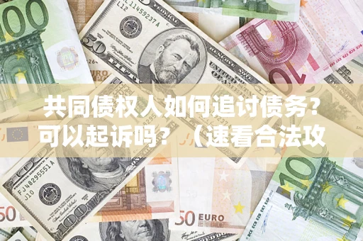 武汉共同债权人如何追讨债务？可以起诉吗？（速看合法攻略）