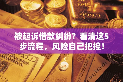 武汉被起诉借款纠纷？看清这5步流程，风险自己把控！