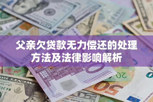 武汉父亲欠贷款无力偿还的处理方法及法律影响解析