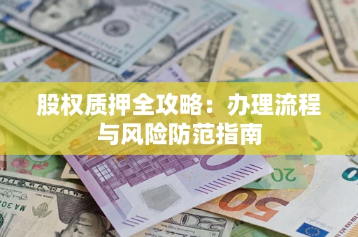武汉股权质押全攻略：办理流程与风险防范指南
