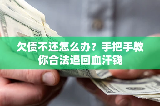 武汉欠债不还怎么办?手把手教你合法追回血汗钱 武汉欠债不还怎么办?手把手教你合法追回血汗钱