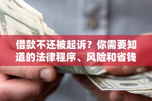 武汉借款不还被起诉？你需要知道的法律程序、风险和省钱技巧