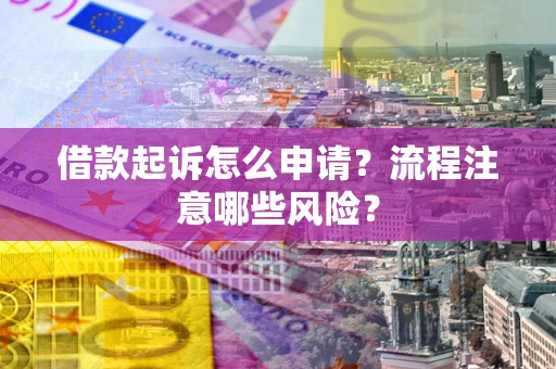 武汉借款起诉怎么申请？流程注意哪些风险？