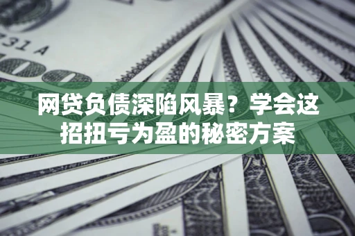武汉网贷负债深陷风暴？学会这招扭亏为盈的秘密方案