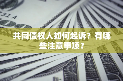 武汉共同债权人如何起诉？有哪些注意事项？